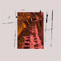 Inland Behind My House - Teeth