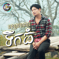 បងស្រណោះទឹកធំ - ព្រាប សុវត្ថិ
