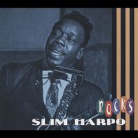 You Ain't Never Had to Cry - Slim Harpo