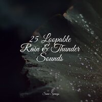Raindrop Shower - The Sleep Specialist & Yoga Music & Water Sound Natural White Noise