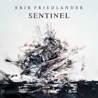 Ripleyisms - Erik Friedlander