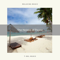 Lovely Ocean Noises with Nature Calls for Recharging Moments pt. 1 - Baltic Nature Sounds