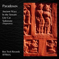 In the Stream - Paradoxov