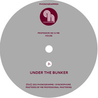 I Teach You - MB & Professor Inc