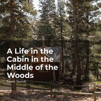 Movement of the River - Ambient Forest & Forest Sounds & Rainforest Sounds