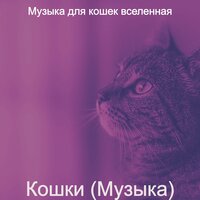Звуки (Сонные кошки) - Музыка для кошек вселенная