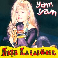 Çırılçıplak - Neşe Karaböcek