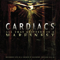 Big Ship - Cardiacs