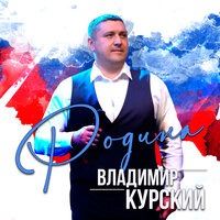 Волонтёры - Владимир Курский