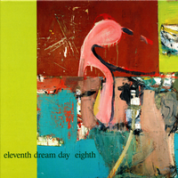View From the Rim - Eleventh Dream Day