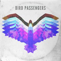 Unbelievable - Bird Passengers