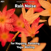 Pleasant Ambient Nature Sounds - Calming Sounds & Rain Sounds & Nature Sounds