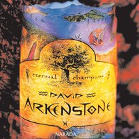 Under The Canopy - David Arkenstone