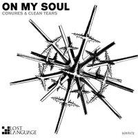 On My Soul - Clean Tears & Conures