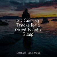 Simply Relaxed - White Noise Sound Garden & Massagem Coleção de Músicas & mindfulness meditation world