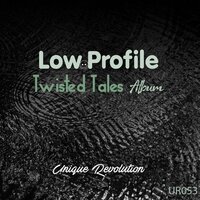 Storyteller - Lowprofile