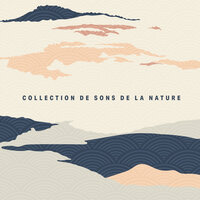 Méditation pure - Club de Méditer et Détendre