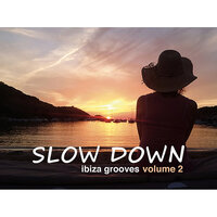 Just Slow Down - Marc Hartman