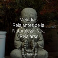 Serenidad De Los Chacras - Musica Meditaction & Relajación Meditar Academie & Natureza Musica Bem-Estar Academia