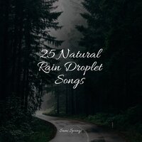 Sounds of Rain and Thunder - Nursery Rhymes & Relaxation Music Guru & Entspannungsmusik Meer
