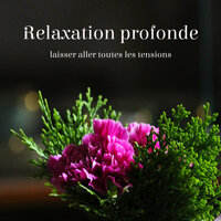 Spa de Luxe - Musique Ambiance Détente