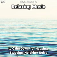 Singular Sentiments - Soothing Music & Relaxing music & Yoga