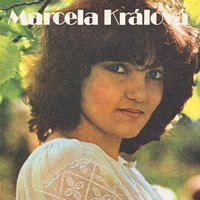 Křídla štěstí - Marcela Králová & Bezinky & Vladimir Cort & Daniel Hadl & Vítězslav Hádl & Studiová skupina