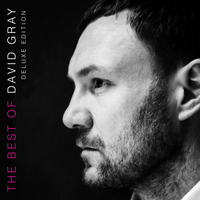 Please Forgive Me - David Gray