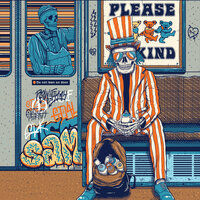 China Cat Sunflower - Dead & Company