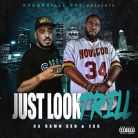 Just Look Trill - Da Damn Sen & ESG