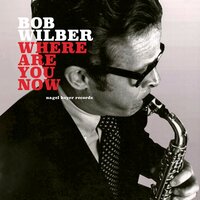 Love Comes Along Once in a Lifetime - Bob Wilber