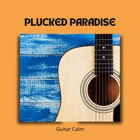 Gypsy Picking Paradise - Guitar Calm