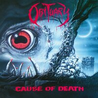 Insane - Obituary