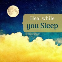 Fall Asleep - Every Night Alder