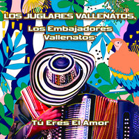 Me Enamore De Ti - Los Juglares Vallenatos & Los Embajadores Vallenatos
