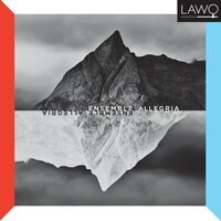 Concerto Arctandriae for Strings, Op. 128, I.Tranquillo – Allegro ma non troppo - Ensemble Allegria