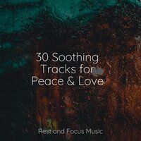Cool Cacophony - The Relaxation Principle & Echoes of Nature & Pro Sound Effects Library