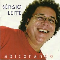 Alguém como Você - Sergio Leite