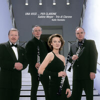 Don Giovanni, K. 527 / Act I: Non mi dir, bell' idol mio (Arr. for Clarinet Trio and Piano) - Trio Di Clarone & Kalle Randalu & Вольфганг Амадей Моцарт