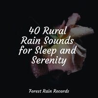 Soft Wind Rain Ambience - Oasis de Détente et Relaxation & Study Power & Study Concentration