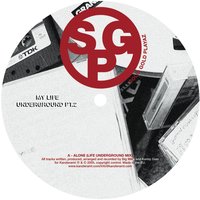 Playaz 4 You - Solid Gold Playaz