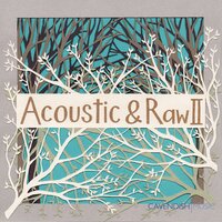 Harmonic Dreams - Dave Meegan & Andrew Maxwell Morris