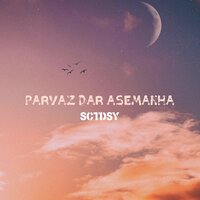 Shokofe - SCTDSY
