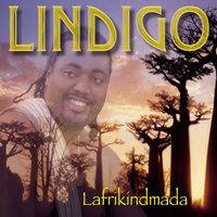 Danvan - Lindigo