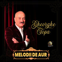 A trecut încă o seară - Gheorghe Țopa