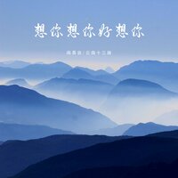 想你想你好想你 - 南慕容 & 云南十三妹
