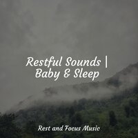 Lakeside Wonders - White Noise Baby Sleep & Sound Sleeping & White Noise Relaxation