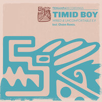 Wire - Timid Boy