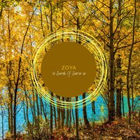 Gravity - Zoya
