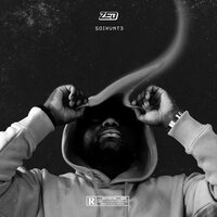 Ansu Fati - Zed